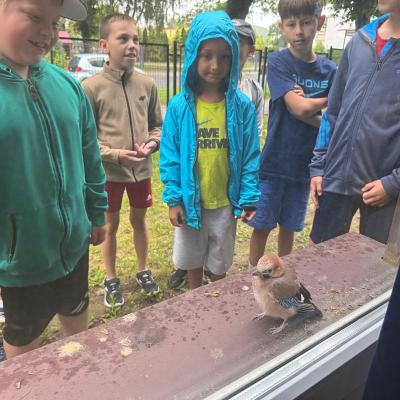 520525321 122173490606377959 7136918625250706444 N