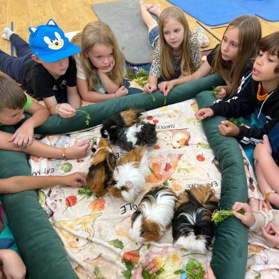 521083971 122173742768377959 7129265784164679532 N