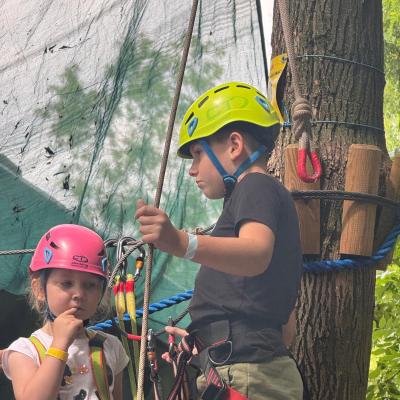 522618385 122173608314377959 7103525740796499780 N