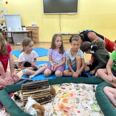 522650387 122173742456377959 2102335866369842418 N