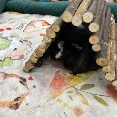 523102053 122173742426377959 3134693880110514256 N