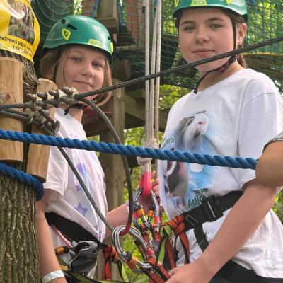 523373146 122173607972377959 4562614489548818344 N