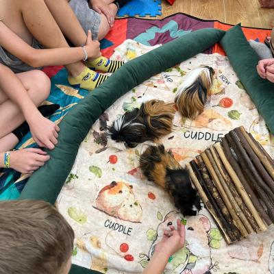 523913974 122173742540377959 735905338509616952 N