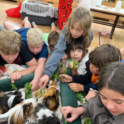 523917261 122173742852377959 7643823614239730229 N