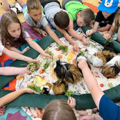 524308658 122173742726377959 8951138825437179089 N