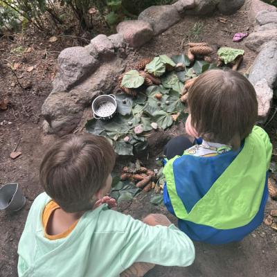 520277992 122174968994377959 3653936033281703545 N