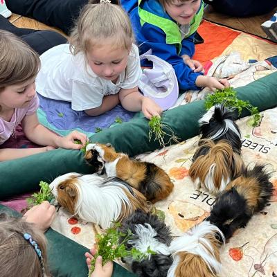 524423064 122174653868377959 2703091005754246265 N