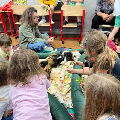 525242883 122174652506377959 3380769213412519344 N