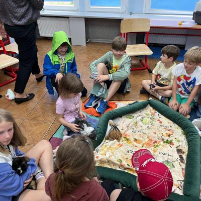 525428999 122174653478377959 4609600386775968328 N