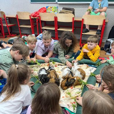 525557889 122174652170377959 6445279631100440741 N