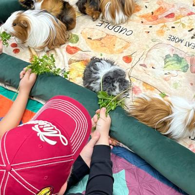 525574610 122174653718377959 6299234242621513456 N