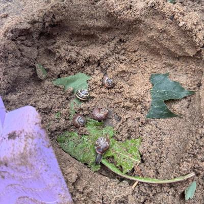 526048369 122174407916377959 5916781241550767376 N