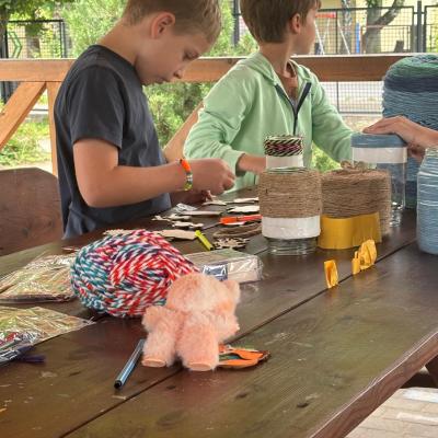 526245415 122174749808377959 999593854417219980 N