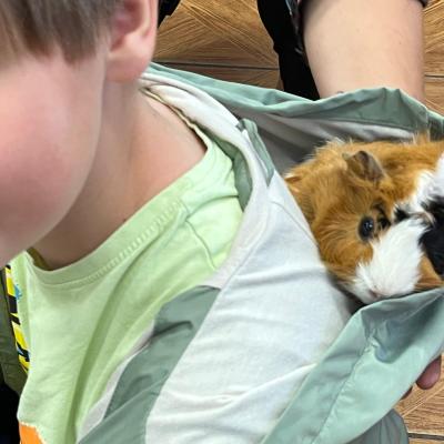 526570737 122174652536377959 2242501387967252346 N