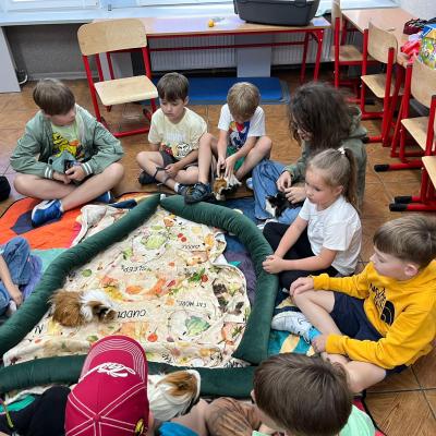 527133914 122174653664377959 8978198578752736287 N