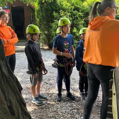 528132014 122175369944377959 352252499722845567 N