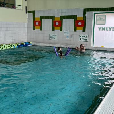 528320909 122175128648377959 6150287689018818199 N