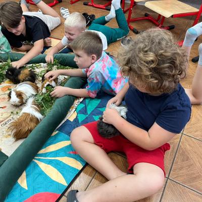 528353633 122175497006377959 8002677931590869703 N