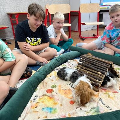 528570459 122175497168377959 1400748104294857168 N