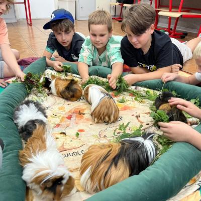 528807926 122175496910377959 9142705905673320020 N