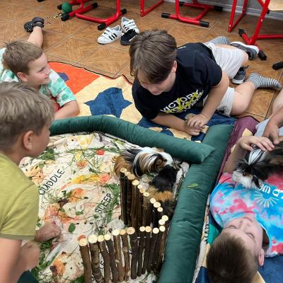 528843913 122175497306377959 1789245916369526931 N