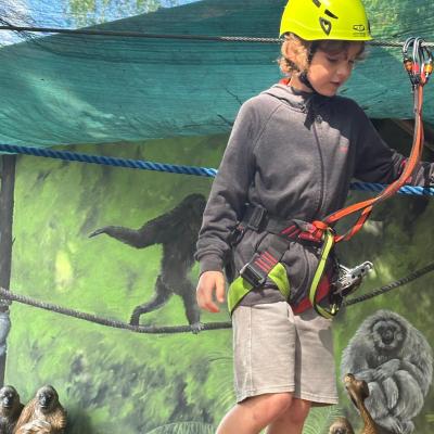 529333915 122175367814377959 329137733957024703 N