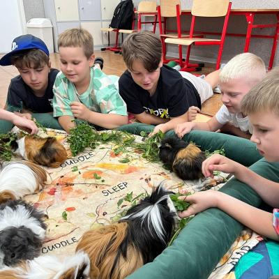 530107168 122175495938377959 5411418541728314532 N